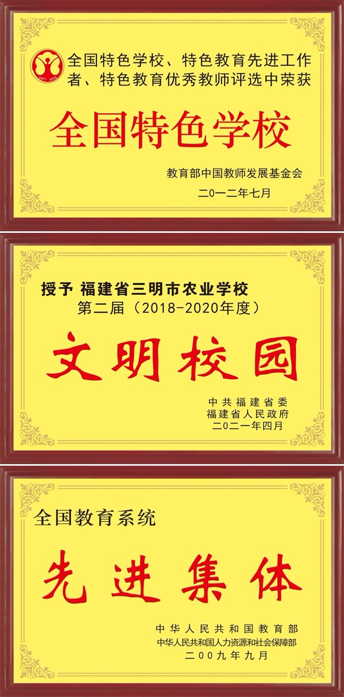 1757576405236489.jpg 6.jpg