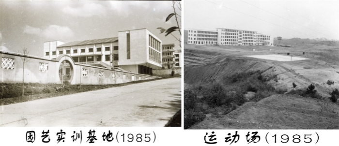 1757577864746301.jpg 0.jpg