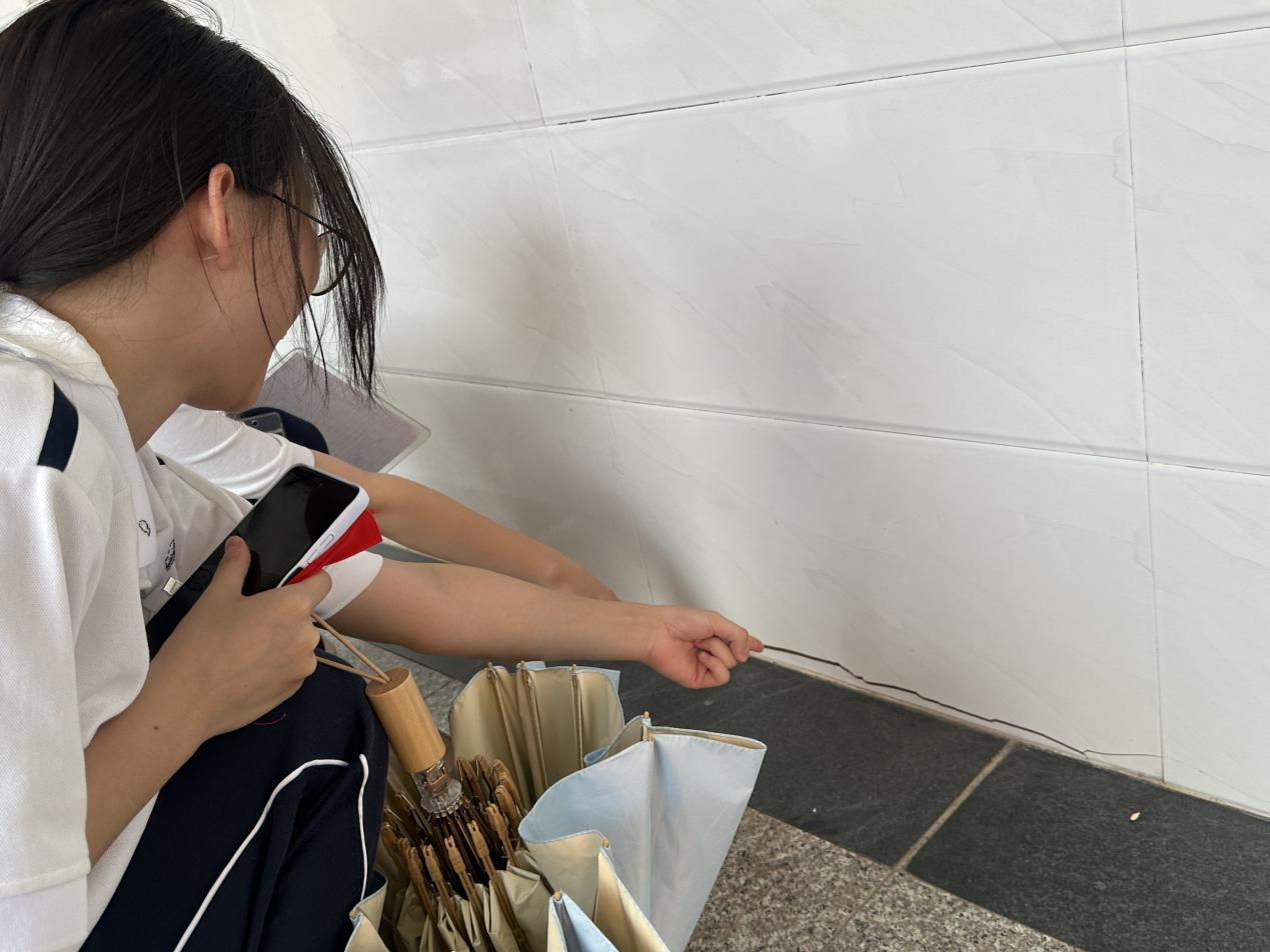 1757639503413677.png 1757639503413677.png